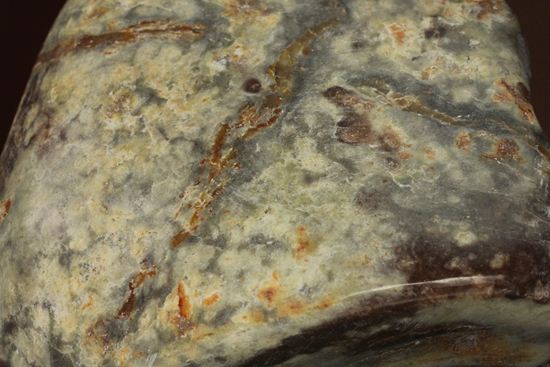 ポリッシュされた、多彩な色がみられる恐竜のウンチ化石(coprolite)（その11）