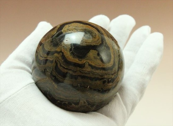 地球に酸素をありがとう!古代の光合成が刻まれたストロマトライト(その5)