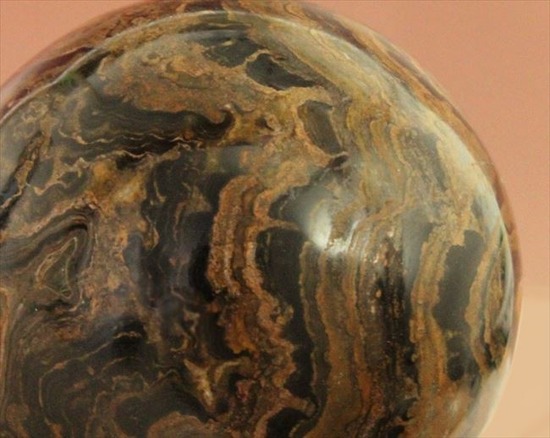 地球に酸素をありがとう!古代の光合成が刻まれたストロマトライト(その7)