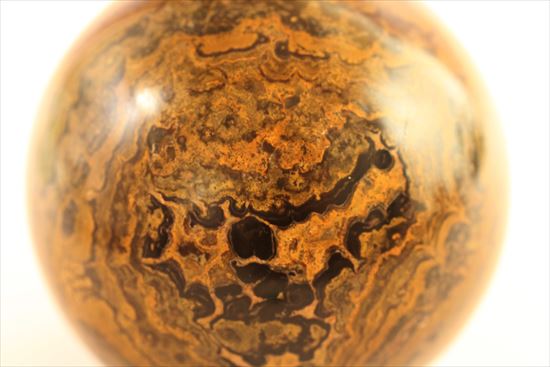 ５００ｇオーバー！ヘビー級サイズのストロマトライト(Stromatolite)（その4）