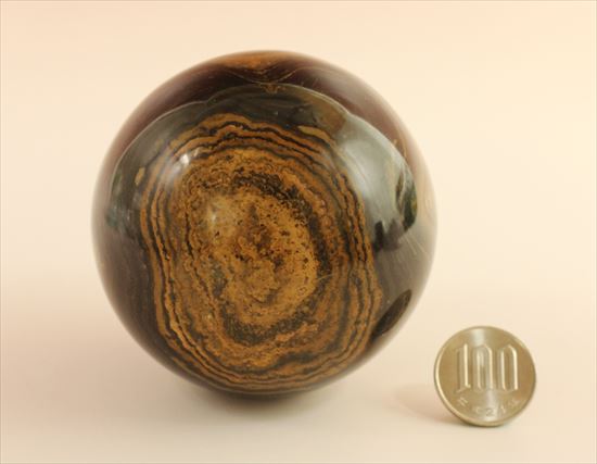 ５００ｇオーバー！ヘビー級サイズのストロマトライト(Stromatolite)（その9）