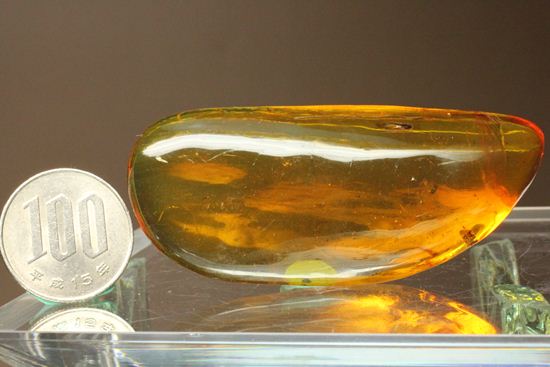 5匹の虫が包まれた!ルーペ必須!!7㎝のドミニカ産虫入り琥珀(Amber)(その17)