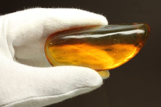 5匹の虫が閉じ込められた！ルーペ必須！！7㎝のドミニカ産虫入り琥珀（Amber）（その3）