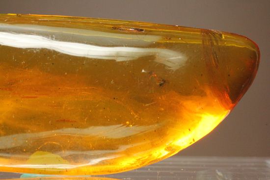 5匹の虫が閉じ込められた！ルーペ必須！！7㎝のドミニカ産虫入り琥珀（Amber）（その6）