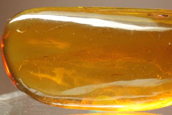 5匹の虫が包まれた!ルーペ必須!!7㎝のドミニカ産虫入り琥珀(Amber)(その7)