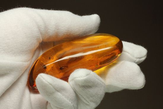 5匹の虫が包まれた!ルーペ必須!!7㎝のドミニカ産虫入り琥珀(Amber)(その8)