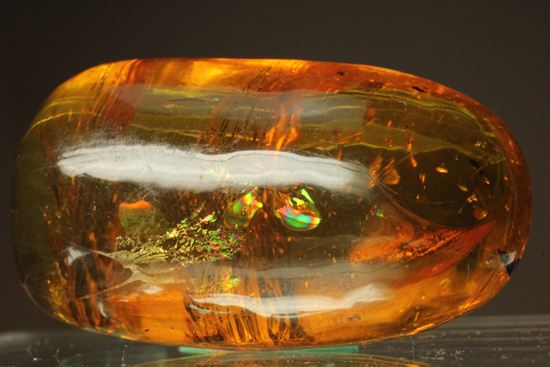 超レアと思われる虫が包まれた！！ドミニカ産大きな虫入り琥珀（Amber）（その1）