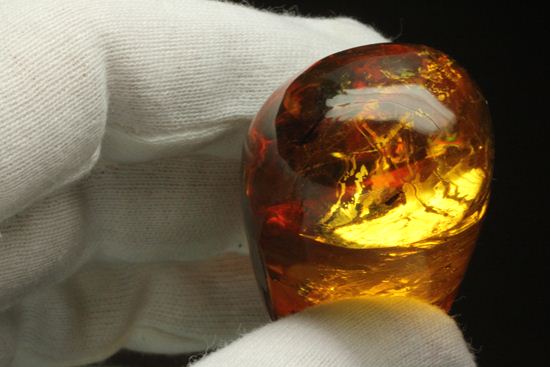 超レアと思われる虫が包まれた！！ドミニカ産大きな虫入り琥珀（Amber）（その14）