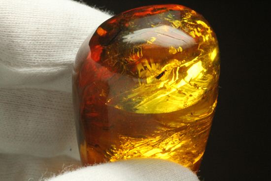 超レアと思われる虫が包まれた！！ドミニカ産大きな虫入り琥珀（Amber）（その5）