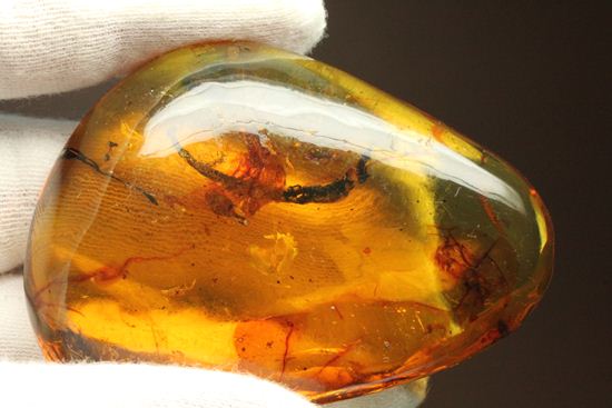 はっきりと大きな虫が鑑賞できる!大きな大きな手のひらサイズのドミニカ産琥珀(Amber)(その16)