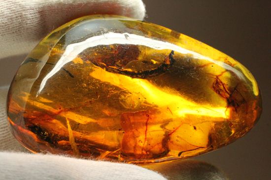 はっきりと大きな虫が鑑賞できる!大きな大きな手のひらサイズのドミニカ産琥珀(Amber)(その2)