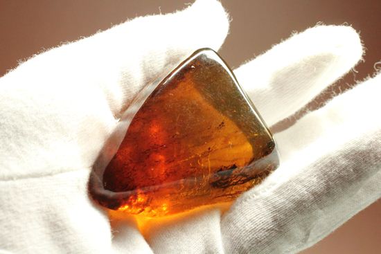ユニーク三角形!形のよい、手のひらパルムサイズ琥珀 (その13)