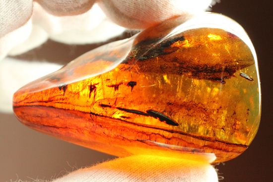 ユニーク三角形!形のよい、手のひらパルムサイズ琥珀 (その16)