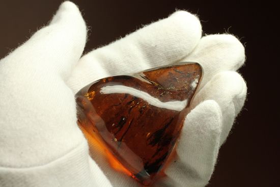 ユニーク三角形!形のよい、手のひらパルムサイズ琥珀 (その3)
