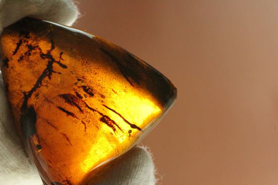 ユニーク三角形!形のよい、手のひらパルムサイズ琥珀 (その8)
