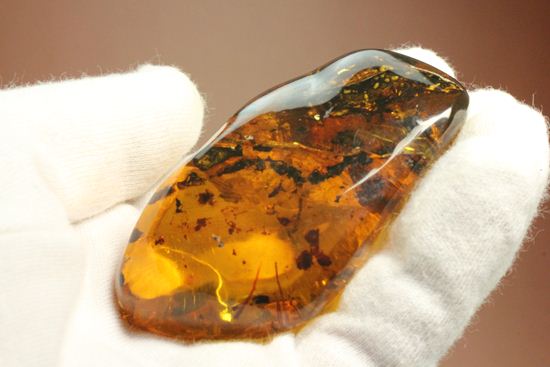 内包物満載です!ドミニカ産の大きな琥珀(Amber)(その2)