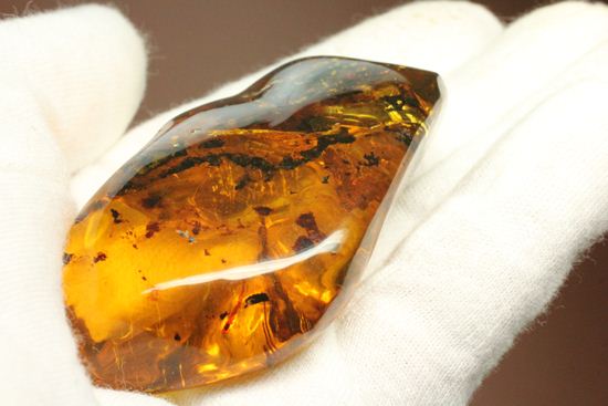 内包物満載です!ドミニカ産の大きな琥珀(Amber)(その3)