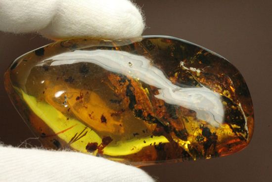 内包物満載です!ドミニカ産の大きな琥珀(Amber)(その4)