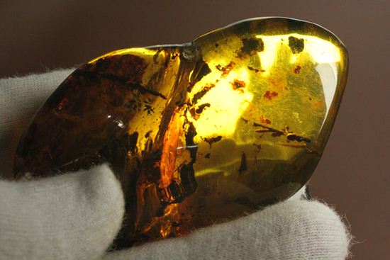 内包物満載です!ドミニカ産の大きな琥珀(Amber)(その6)