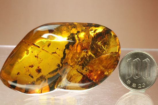 内包物満載です!ドミニカ産の大きな琥珀(Amber)(その9)