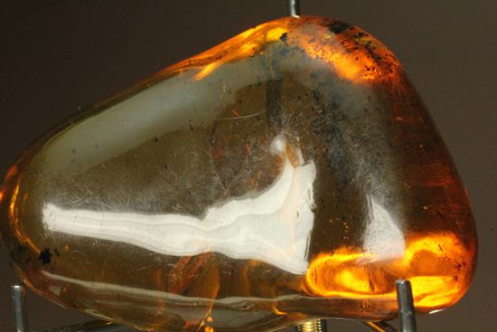 本当にレアです!1.虫入りで2.ナチュラルで3.手のひらサイズのドミニカ産大きな虫入り琥珀(Amber)(その2)