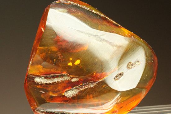 琥珀　レア品　ポーランド 琥珀 レア品 ポーランド ポーランド琥珀