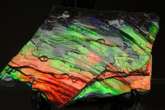 これは宝石。完全7色スペクトルの模式標本。ピースタイプの標本として最高峰です。(Ammolite)(その1)