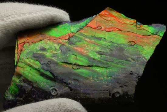 これは宝石。完全７色スペクトルの模式標本。ピースタイプの標本として最高峰です。(Ammolite)（その10）