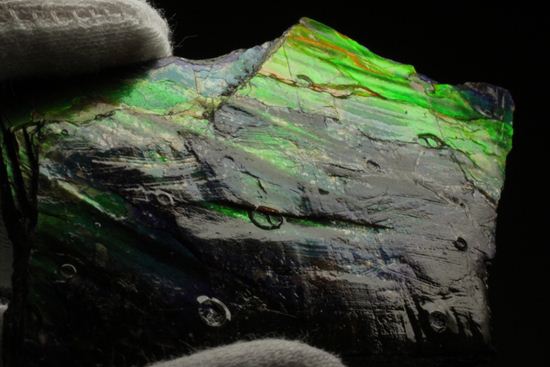 これは宝石。完全7色スペクトルの模式標本。ピースタイプの標本として最高峰です。(Ammolite)(その12)