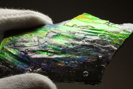 これは宝石。完全７色スペクトルの模式標本。ピースタイプの標本として最高峰です。(Ammolite)（その13）