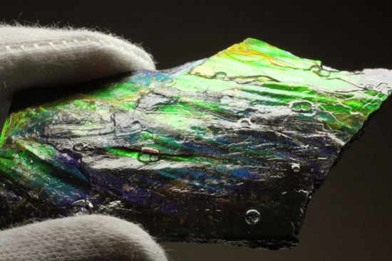これは宝石。完全7色スペクトルの模式標本。ピースタイプの標本として最高峰です。(Ammolite)(その13)