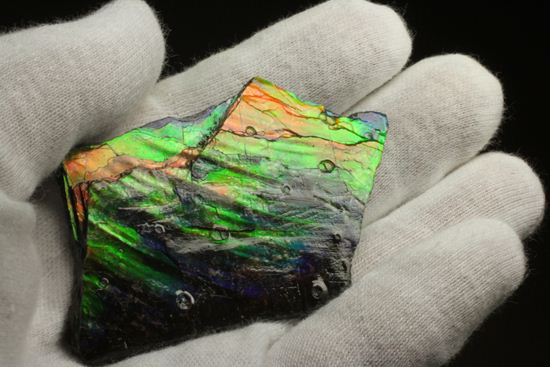 これは宝石。完全７色スペクトルの模式標本。ピースタイプの標本として最高峰です。(Ammolite)（その14）