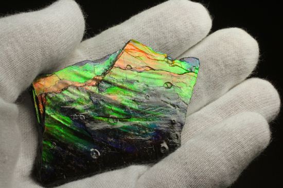 これは宝石。完全7色スペクトルの模式標本。ピースタイプの標本として最高峰です。(Ammolite)(その14)