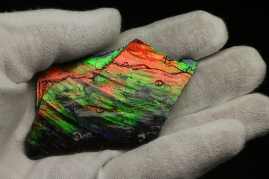 これは宝石。完全７色スペクトルの模式標本。ピースタイプの標本として最高峰です。(Ammolite)（その15）