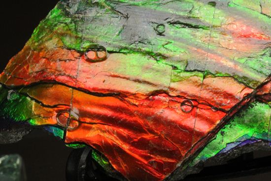 これは宝石。完全7色スペクトルの模式標本。ピースタイプの標本として最高峰です。(Ammolite)(その19)