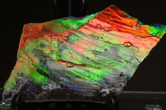 これは宝石。完全7色スペクトルの模式標本。ピースタイプの標本として最高峰です。(Ammolite)(その2)