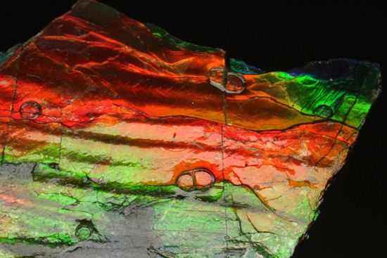 これは宝石。完全7色スペクトルの模式標本。ピースタイプの標本として最高峰です。(Ammolite)(その3)