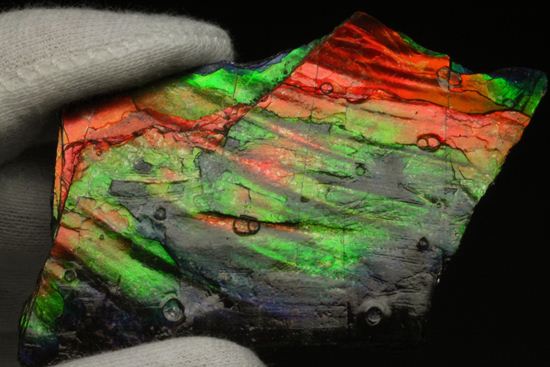 これは宝石。完全７色スペクトルの模式標本。ピースタイプの標本として最高峰です。(Ammolite)（その9）