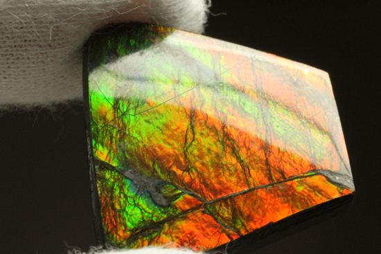 台形のフォルムをした綺麗な赤色アンモライト(Ammolite)（その10）