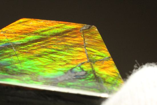 台形のフォルムをした綺麗な赤色アンモライト(Ammolite)(その11)