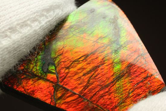 台形のフォルムをした綺麗な赤色アンモライト(Ammolite)（その14）