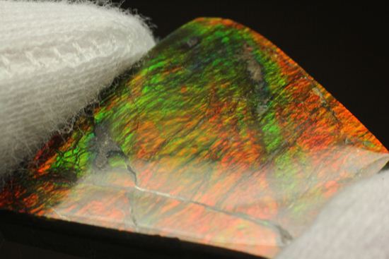 台形のフォルムをした綺麗な赤色アンモライト(Ammolite)(その15)