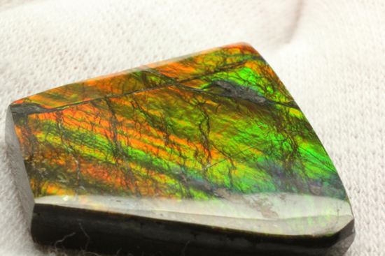 台形のフォルムをした綺麗な赤色アンモライト(Ammolite)(その17)