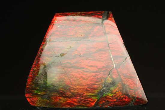 台形のフォルムをした綺麗な赤色アンモライト(Ammolite)(その19)