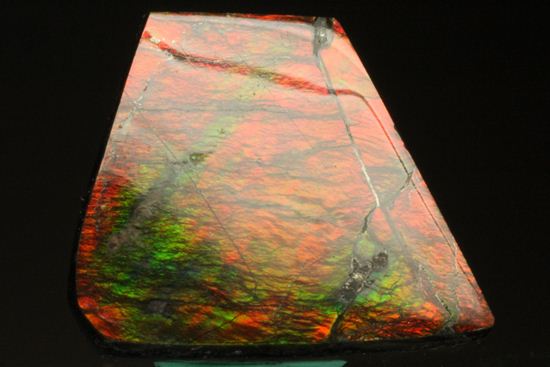 台形のフォルムをした綺麗な赤色アンモライト(Ammolite)(その2)