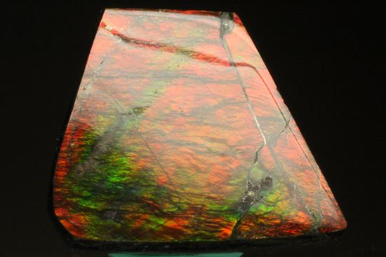 台形のフォルムをした綺麗な赤色アンモライト(Ammolite)（その2）