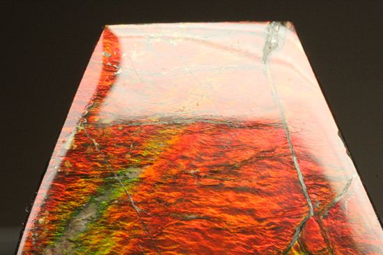 台形のフォルムをした綺麗な赤色アンモライト(Ammolite)(その4)
