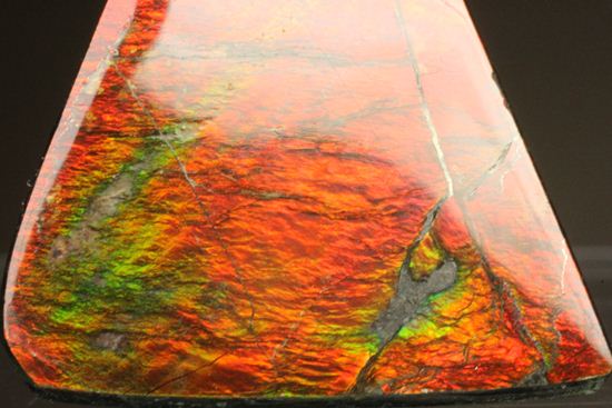 台形のフォルムをした綺麗な赤色アンモライト(Ammolite)(その5)