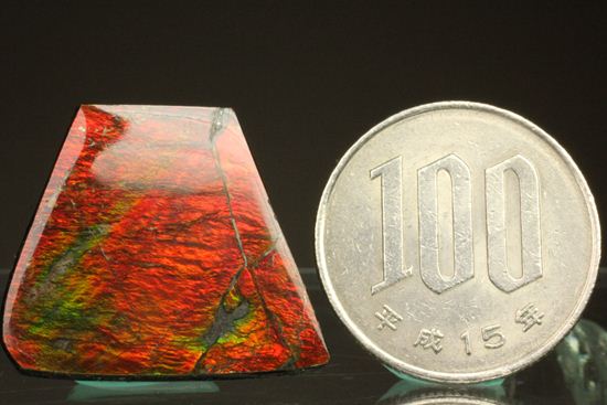 台形のフォルムをした綺麗な赤色アンモライト(Ammolite)(その6)