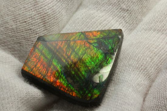 台形のフォルムをした綺麗な赤色アンモライト(Ammolite)(その7)